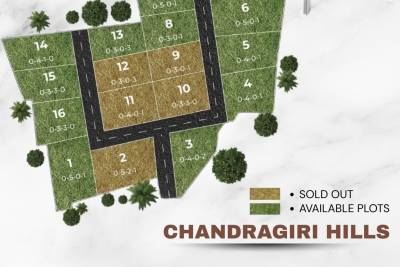 Commercial / Residential Both Purposed Land At Chandrigir Thankot
