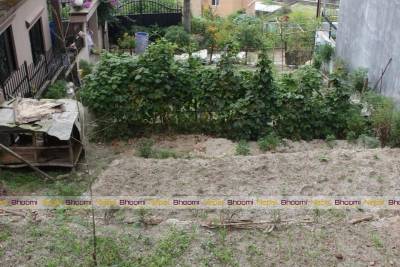 Land For Sale near Chapali Bhadrakali